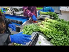 간식 쿠키 베개 포장 기계 자동 과자 포장 장비