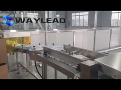 220V 50Hz 카튼 시일러 기계 길이 200-600mm 너비 150-500mm 높이 150-500mm