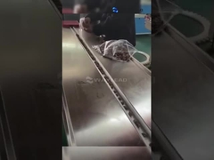 자동 HFF 수평 흐름 포장 기계 상업용 아이스크림 포장 기계 WZ-220