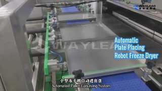 자동 판 배치 로봇 동결 건조기