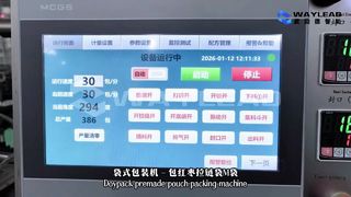 고속액상주머니포장기 WG250