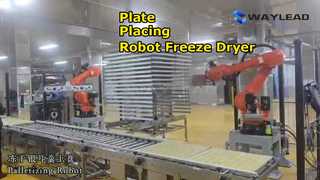 자동 플레이트 배치 로봇 동결 건조기 포장 기계