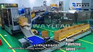 자재 취급, 운반, 자동 계산, 포장 및 팔레타이징 시스템