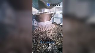 70봉지 최소 파우치 포장기 빠르고 안정적