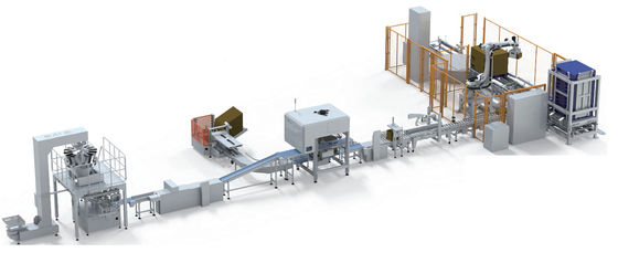 자동 포장 라인 자동 포장 및 팔레티화 라인