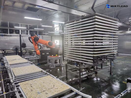 동결 건조 생산 라인 맞춤형 고효율 자동 플레이트 배치 로봇